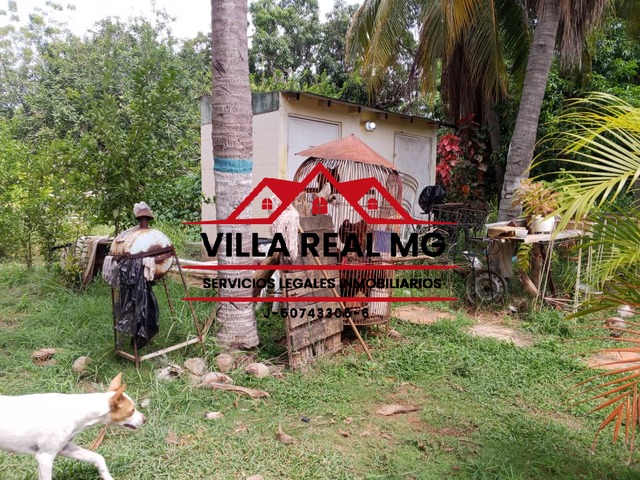 #4041 - Granja  Finca para Venta en San Francisco - V - 2