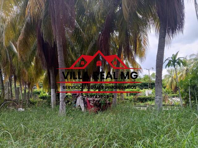 #4041 - Granja  Finca para Venta en San Francisco - V - 3